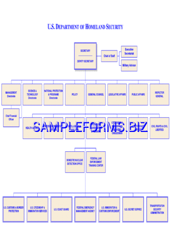 DHS Organizational Chart 1 pdf free