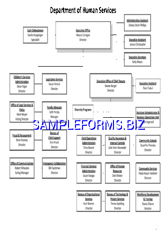DHS Organizational Chart 2